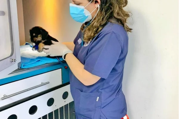 hospitalización-24horas